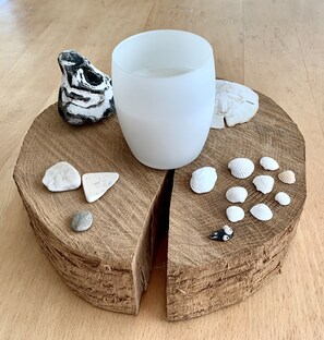 A wooden table with a white ceramic mug, various seashells, and a small black and white sculpture. - Reethaus Boddenblick in Alt Reddevitz with parking lot, ground-level terrace, Wgh12 (Alt Reddevitz)