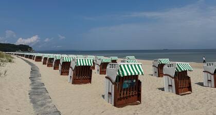 Reethaus Boddenblick in Alt Reddevitz with parking lot, ground-level terrace, Wgh12