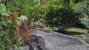 Een tuin met verschillende planten, een grote rots en een grindpad.