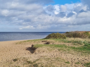 Uma praia com areia, grama e um corpo d'água sob um céu nublado.