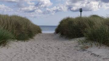 House | Beach