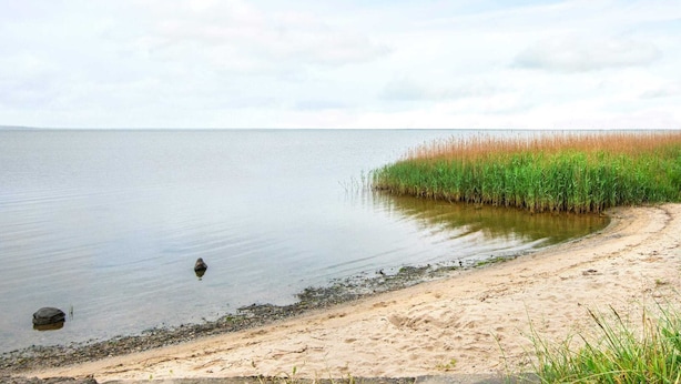 En stilla sjö med en sandstrand och högt gräs längs stranden.