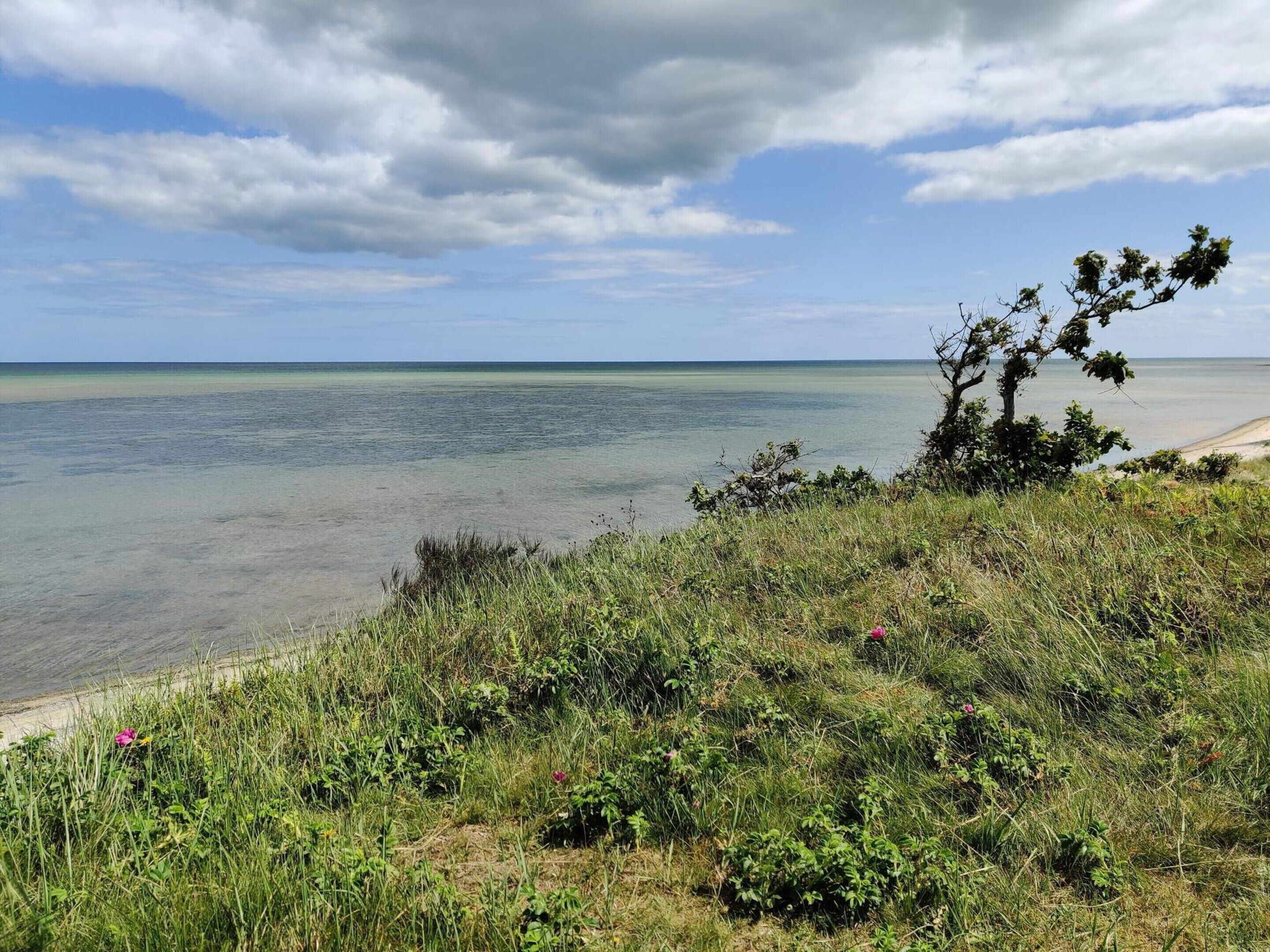 A coastal landscape with a clear sky, a sandy beach, and a tree in the foreground.