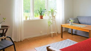 A living room with a sofa, a wooden table, a chair, a potted plant, and a window with curtains.
