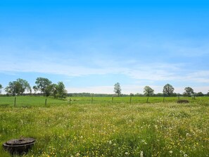 A field with a fence, trees, and a tractor. - 4 Person Holiday Home in Gotene (Götene)