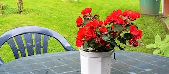 4 Person Holiday Home in Annestad