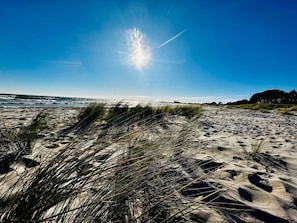 A beach with sand dunes and ocean waves. - 5 Star Holiday Home in Sydals (Sydals)