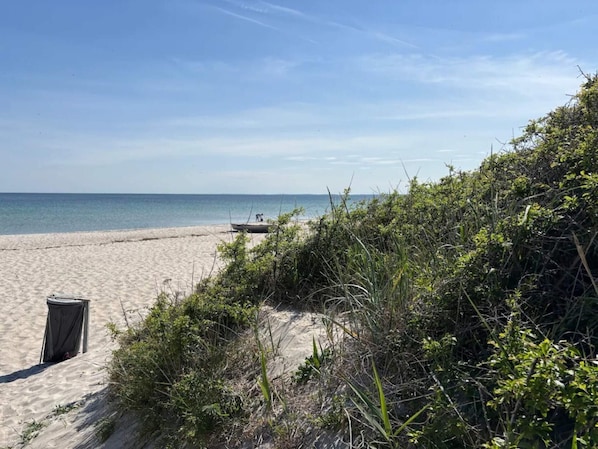 Une plage avec un bateau, du sable et une végétation luxuriante.