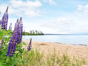 Beach - 4 Person Holiday Home in Arjang (Årjäng)