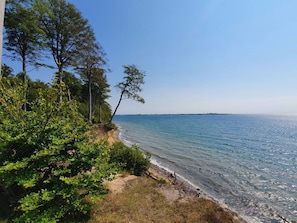 Et kystlandskab med træer, en sandstrand og et klart, blåt hav.