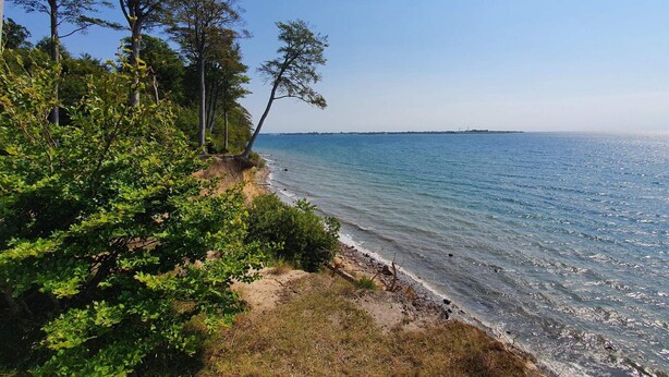 A coastal landscape with trees, a sandy beach, and a clear blue sea.