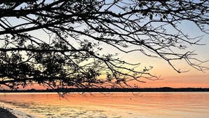 Ein Strand mit ruhigem Meer, blauem Himmel und einer Baumsilhouette vor dem Sonnenuntergang.