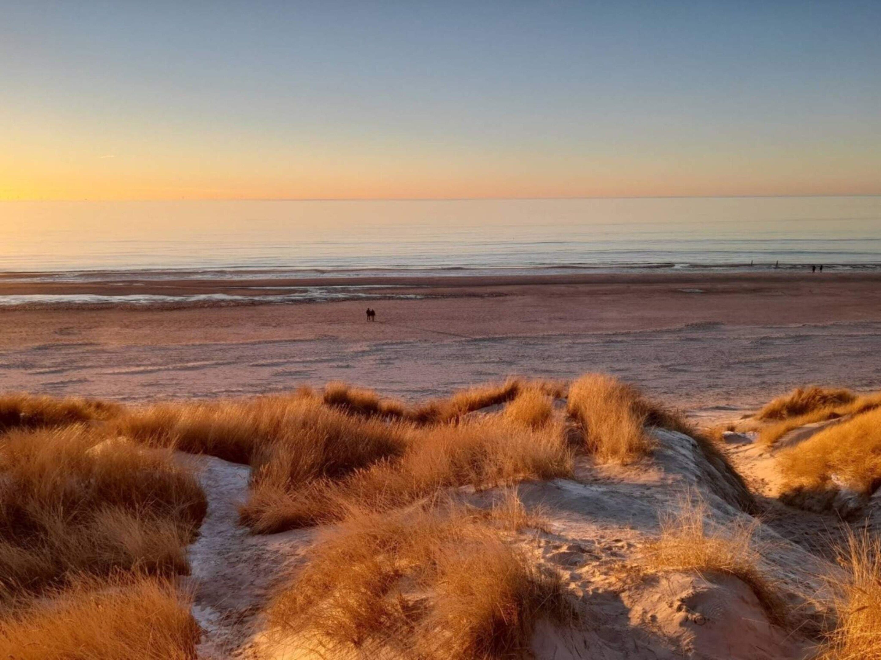 Een strand met duinen op de voorgrond en een rustige zee op de achtergrond.