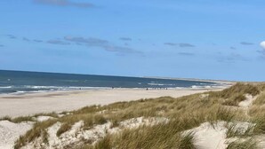 A beach with sand dunes and a clear sky. - 8 Person Holiday Home in Blavand (Blavand)