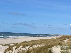 A beach with sand dunes and a clear sky. - 8 Person Holiday Home in Blavand (Blavand)