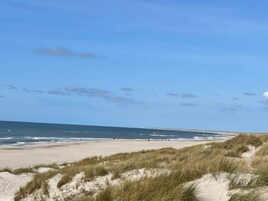 Una playa con dunas de arena y un cielo despejado.