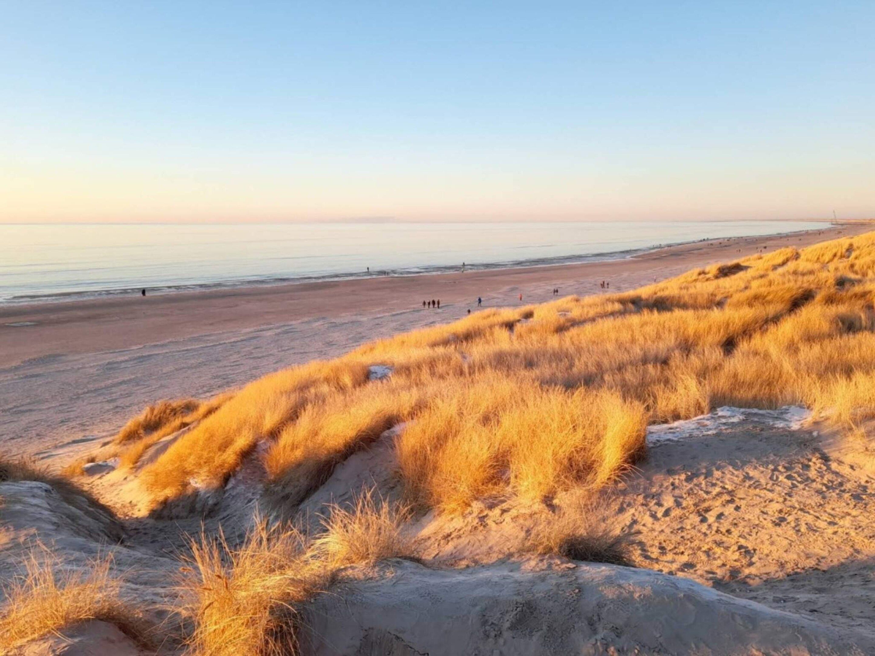 Ein Strand mit Dünen und einem klaren Himmel.