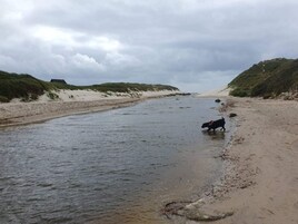 Une rivière traverse un paysage sablonneux, bordé de part et d’autre par des dunes herbeuses.