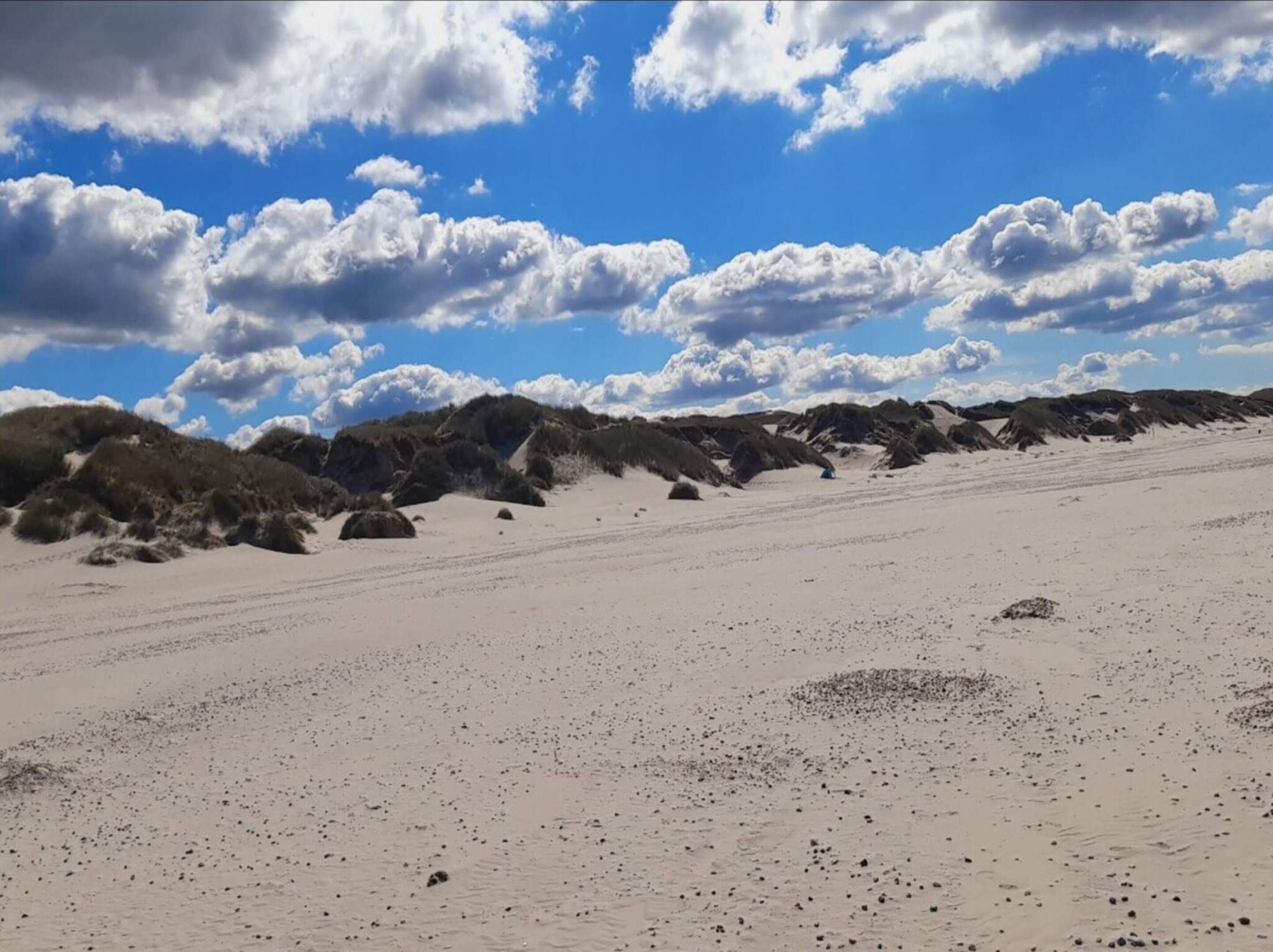 A vast sandy landscape with scattered rocks and sparse vegetation under a partly cloudy sky.