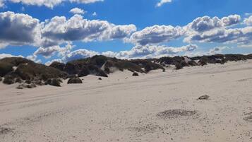 A vast sandy landscape with scattered rocks and sparse vegetation under a partly cloudy sky.