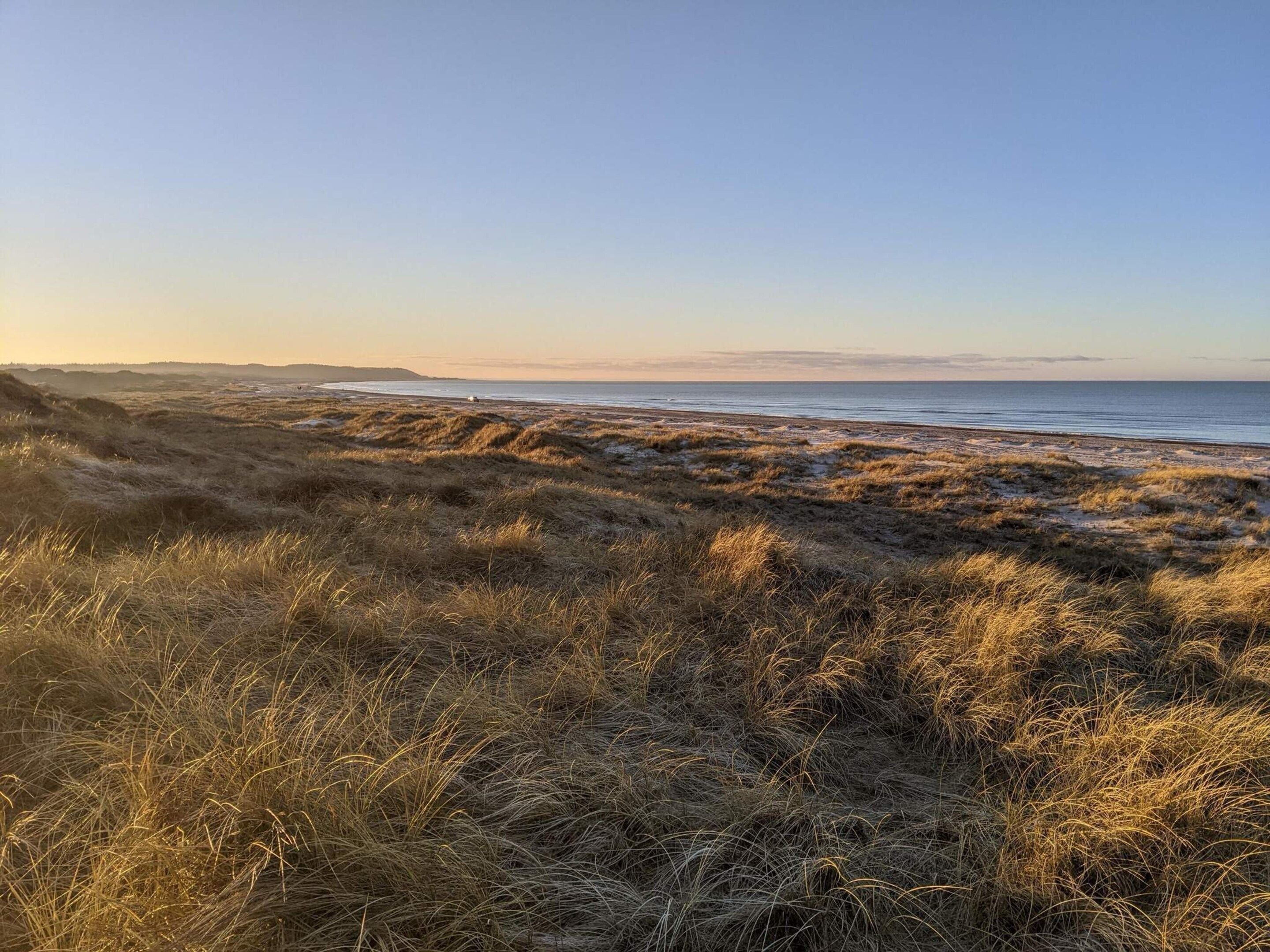 Eine Küstenlandschaft mit grasbewachsenen Dünen und freiem Blick auf das Meer.