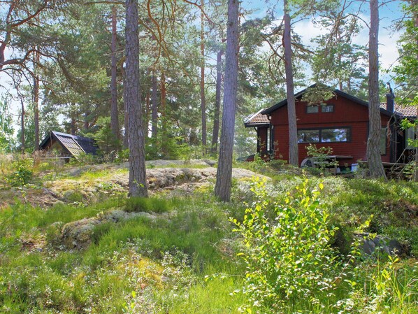 Una cabaña roja rodeada de un bosque, con un cobertizo pequeño y un panel solar.