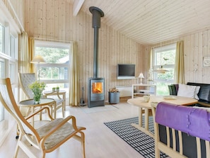 A cozy room with a wooden interior, a fireplace, a television, and a comfortable seating area. - 4 Star Holiday Home in Albaek (Aalbaek)