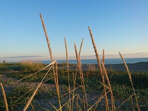Hus | Strand