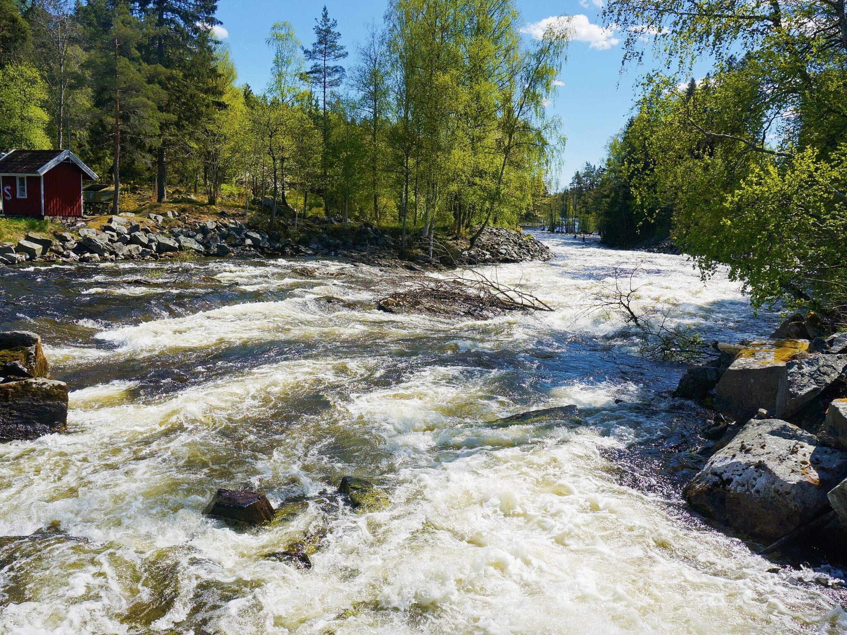 Un riu amb rapids de s'espera blanca, envoltat d'arbres i roques.