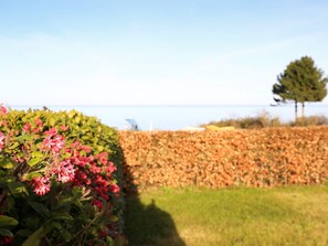 A garden with a hedge, a tree, and a view of the sea. - Cozy Holiday Home in Funen near Sea (Frørup)