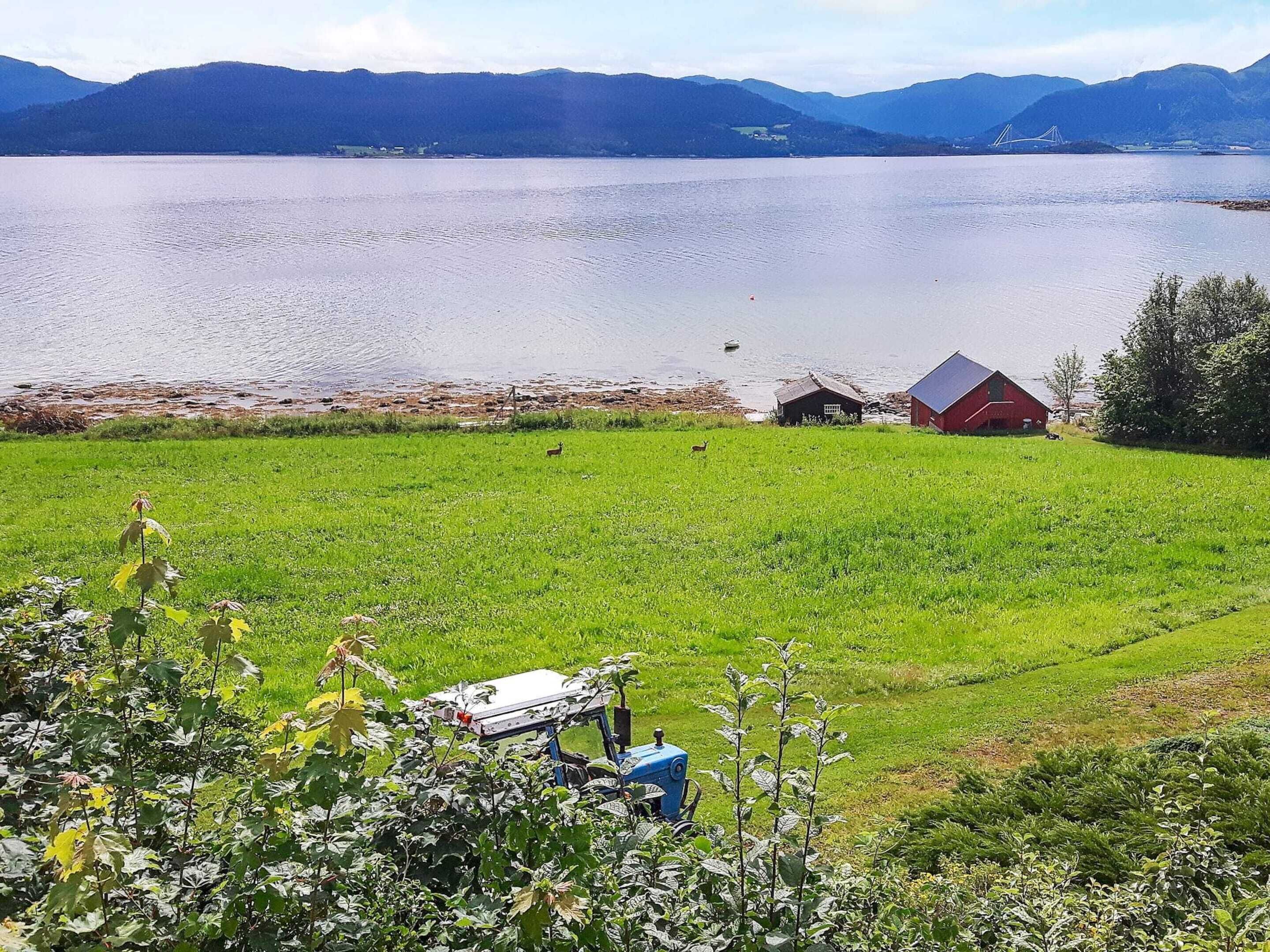 Een landelijk landschap met een meer, een rode schuur en een blauwe tractor.