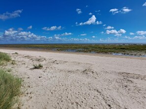 A sandy beach with sparse vegetation and a clear blue sky. - 6 Person Holiday Home in Fano (Fano)