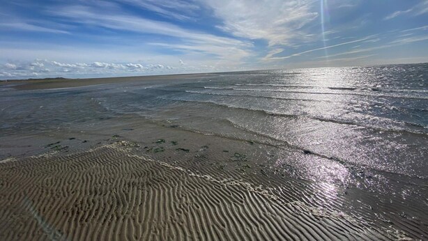 A beach with sand ripples, a clear sky, and sunlight reflecting on the water. - 6 Person Holiday Home in Fano (Fano)