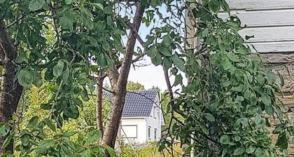 Tranquil Retreat in Moster-by Traum