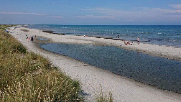 Ein Strand mit Sand, Wasser und Menschen.