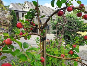 House | Property grounds