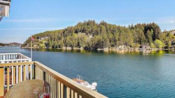 House | Property grounds