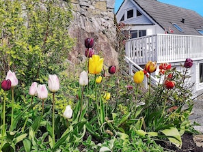 Exterior - Seaside Fisherman s Haven-by Traum (Bomlo)