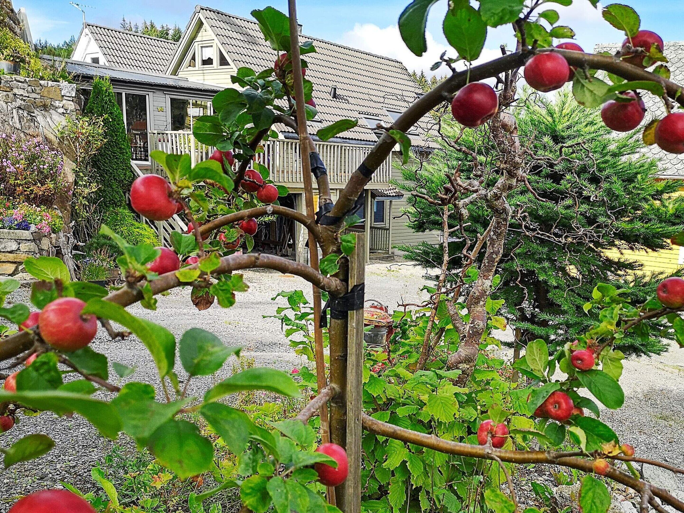 Maison | Enceinte de l’hébergement