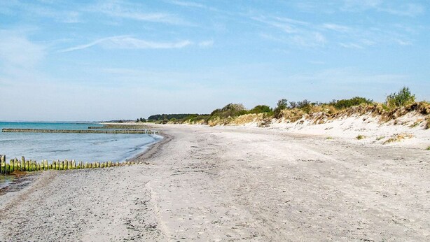 A sandy beach with a clear sky and calm sea. - 4 Person Holiday Home in Borre (Borre)