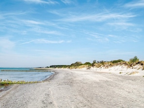 Een strand met zandstrand, een houten steiger en schaarse begroeiing.