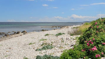 Rumah | Pantai