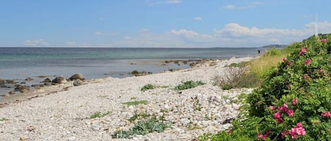 Maison | Plage
