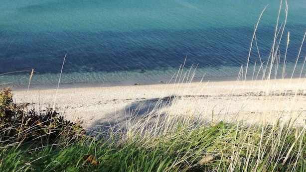 Une plage à l’eau claire et au sable fin, avec de l’herbe au premier plan.