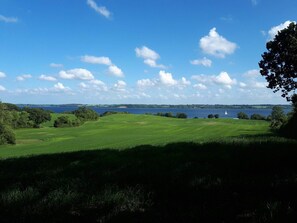 A grassy field with a body of water in the background and a tree on the right. - 4 Person Holiday Home in Aabenraa (Aabenraa)
