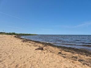 A beach with sand, seaweed, and a clear sky. - Vibrant Holiday Home in Tarm near Sea (Hemmet)