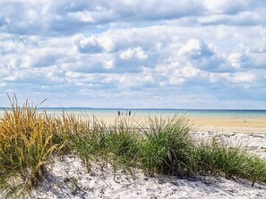 A beach with sand dunes and grassy vegetation. - Vibrant Holiday Home in Jutland near Sea (Glesborg)