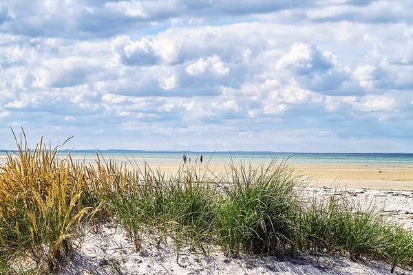 House | Beach