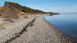 A pebbly shoreline with a calm body of water, trees, and a clear sky. - 8 Person Holiday Home in Thyholm (Thyholm)