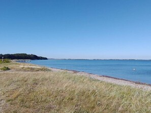 A coastal landscape with a clear sky, a sandy beach, and a distant forested area. - 8 Person Holiday Home in Thyholm (Thyholm)